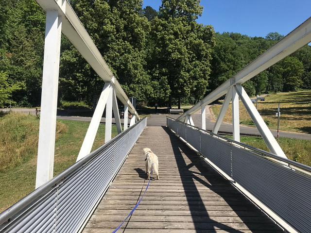 Archiv Heimatverein Oeffingen - Landungsbrcke Neckar