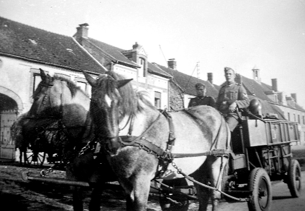 Archiv Heimatverein Oeffingen - Pferde Gespann