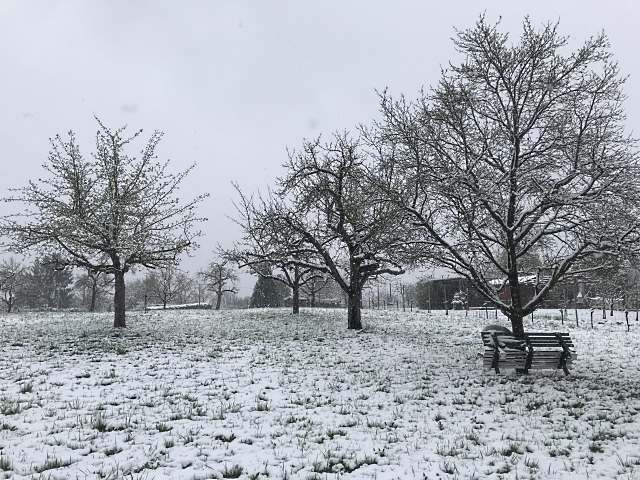 Archiv Heimatverein Oeffingen - Winter in Oeffingen