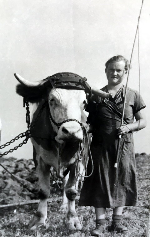 Archiv Heimatverein Oeffingen - Gertrud Vetter